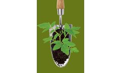 Compost - Nutrients for Plant Health and Vitality