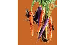 Cedar-Grove - Booster Blend Garden Soil