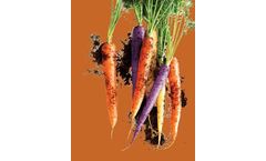 Cedar-Grove - Vegetable Garden Mix Soil