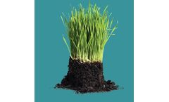 Cedar-Grove - Model 60/40 - Lawn Mix Soil