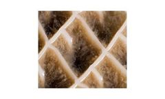 Biowater - Unique Biofilm Carrier