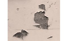 Testing for lead in paint gets easier, faster and cheaper with ANDalyze - Powered by DNA