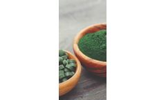 AlgaEfood - Microalgae