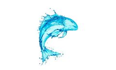 AlgaePiscis - Fish Larvae Food