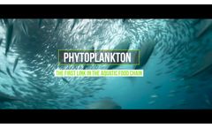 Discover what microalgae are in just 60` - Video