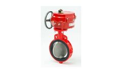 Model 20/21  Series - Resilient Seated Butterfly Valve