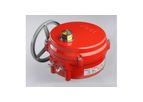 Model 70  Series - Electric Actuator