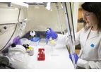 Molecular Biology - Advanced Diagnostic Tools