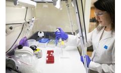 Molecular Biology - Advanced Diagnostic Tools