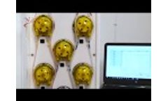 Automated Digestion for Vulcan Automation - Video
