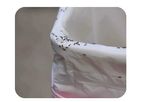 Walsh - Pest Monitoring Software