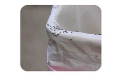 Walsh - Pest Monitoring Software
