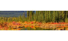 Titanium - Full Scale Commercial Service