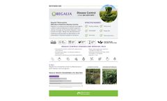 Regalia Product Brochure