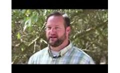 Venerate XC for Navel Orangeworm and Mites. Almond crops pest protection Marrone Bio - Video