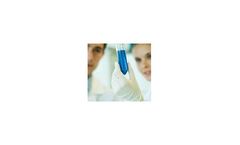 Research & Development Services