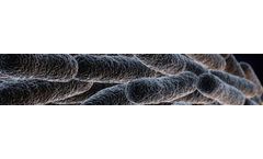 Biocide Sensitivity Analysis Services