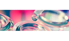 Technical Support Services
