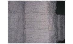 NER - Model BW1 - White Paper