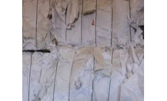 NER - Model BW2 - White Paper