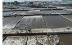 Sewage and wastewater Services