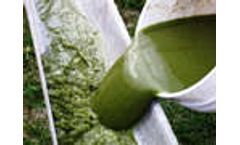 OriginOil Achieves Hydrogen Production Comparable to Photovoltaics