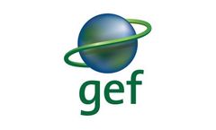 Equatorial Guinea Participates in Global Environment Facility Project for Sustainable Forestry