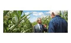 Agro-Consulting Services