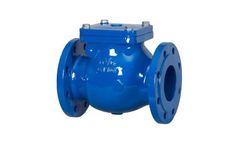 DVD - Model Swing Type - Check Valves