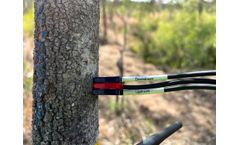 ICT - Model SDI-12 - Sap Flow Sensor