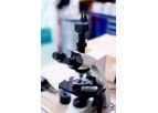 Quality Assurance Services