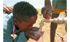 Toxicologic effect of water pipelines on water quality