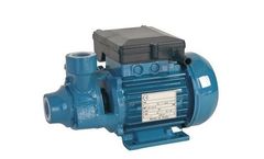 Arven - Model PMF - Peripheral Electric Pumps