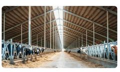 Disinfection Assembly System for Clean in Place (CIP)