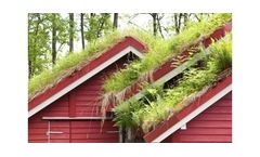 Climate Change Consultancy Services