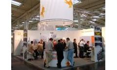 Consulting Services