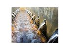 Municipal Wastewater Treatment