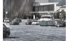 Raineo - Rainwater Management System