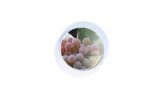 Agriculture sensors solutions for viticulture industry