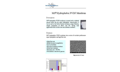 MS - Model PVDF - Hydrophobic Membrane Brochure