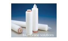 MS - Nylon Cartridge Filter