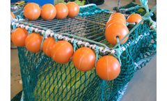 NOFI - Model 2 - Trawls and Trawl Equipment