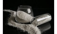 Amino Acids for Animal Feed