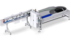 Anker Andersen HLZ - Model MDU C MS - High-Speed Counting and Sorting Systems