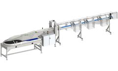 Anker Andersen HLZ - Model MD Ultra - Industrial High-Speed Counting and Sorting Machine