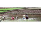 Sustainable Water and Land Resources Development Services