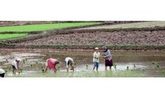 Sustainable Water and Land Resources Development Services