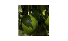 Commercial and industrial water treatment solutions for agricultural filtration & reverse osmosis systems industry