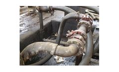Environmental Audit