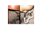 Mold Abatement Service
